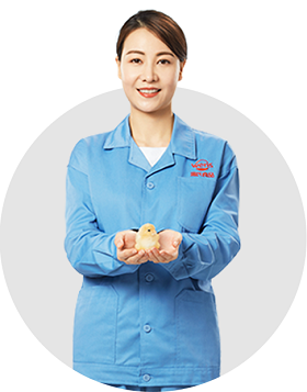 巅峰国际官网-钻营健全,你我一路成长